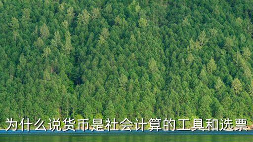 社會(huì)計(jì)算，為什么說(shuō)貨幣是社會(huì)計(jì)算的工具和選票
