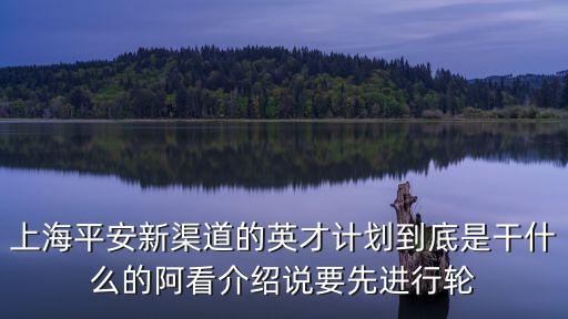 上海平安新渠道的英才計劃到底是干什么的阿看介紹說要先進行輪