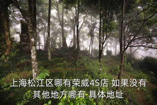 上海松江區哪有榮威4S店 如果沒有其他地方哪有 具體地址