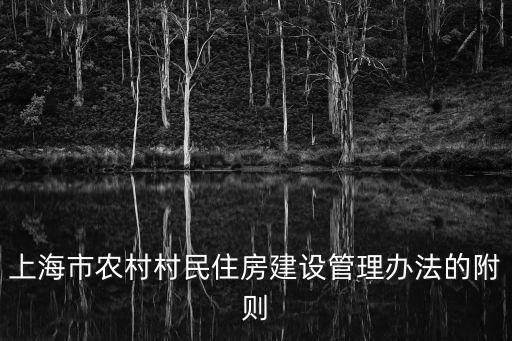 上海市政府第24號令，關于24號令的細則問題
