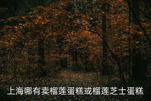 上海市有蛋糕，上海市楊浦區黃興路附近有沒有蛋糕點