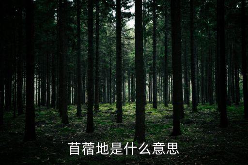 苜蓿地，那部科幻電影苜蓿地又叫 柯洛弗檔案好看嗎
