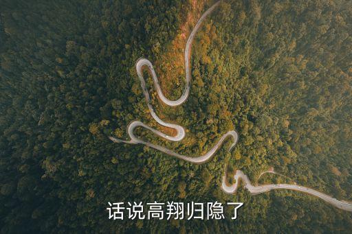 上海市高橋中學百度貼吧高翔，話說高翔歸隱了