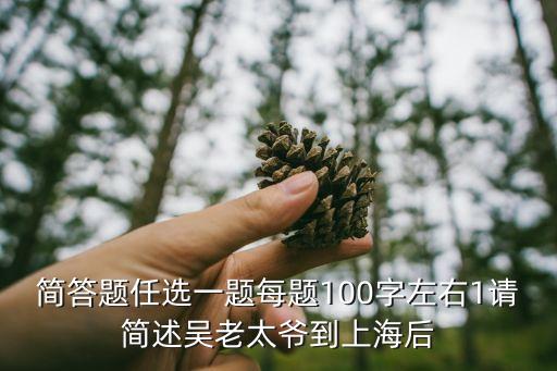 子夜吳老太爺上海市，子夜第一章中為什么吳老太爺一進入上海就猝然死去