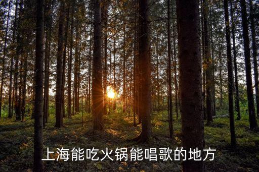 上海市南匯區(qū)紅亮音樂火鍋，上海市浦東新區(qū)天雄路588弄13號(hào)樓是什么公司