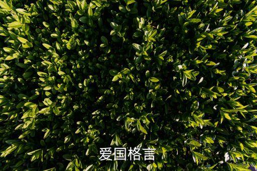 愛國短句，關于愛國的句子不要名言自己寫
