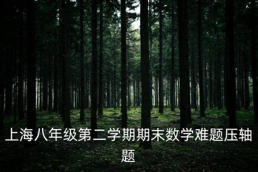 上海八年級第二學期期末數學難題壓軸題
