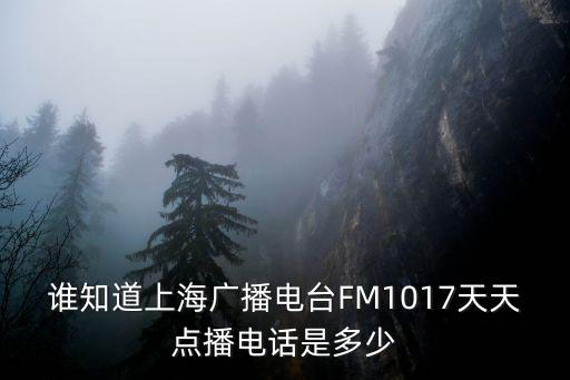 上海市廣播電視電話，誰知道上海廣播電臺FM1017天天點播電話是多少