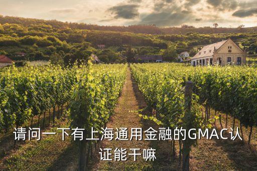 請問一下有上海通用金融的GMAC認(rèn)證能干嘛