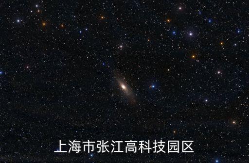 上海市張江高科管委會(huì)書記，上海市張江高科技園區(qū)