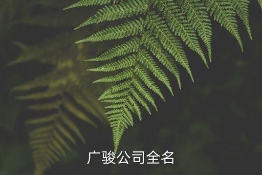 廣州廣駿旅運輸有限公司，廣駿公司全名