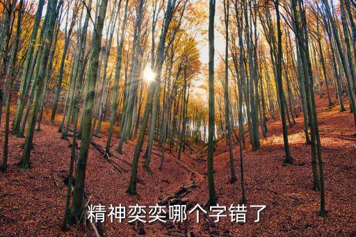 精神奕奕，精神奕奕什么意思