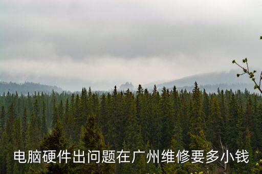 電腦硬件出問題在廣州維修要多小錢