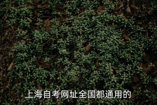上海市自學考試版網，上海自學考本科