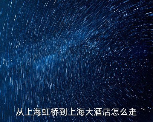 上海大酒樓 上海市，黃浦區上海大酒店乘坐地鐵幾號線什么路下