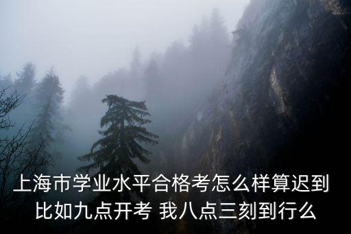 上海市學業水平合格考怎么樣算遲到 比如九點開考 我八點三刻到行么