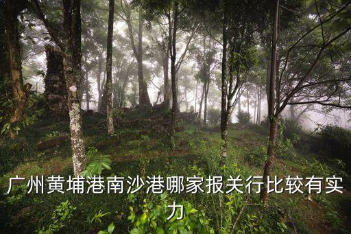 廣州黃埔港鯧魚進口報關公司，廣州黃埔港哪家報關公司報關行有優勢想要報關大家知道那家