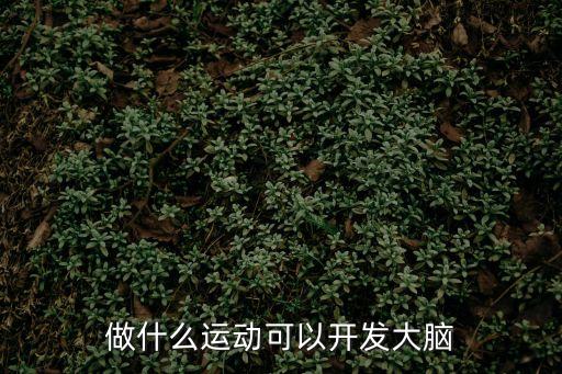 做什么運動可以開發大腦