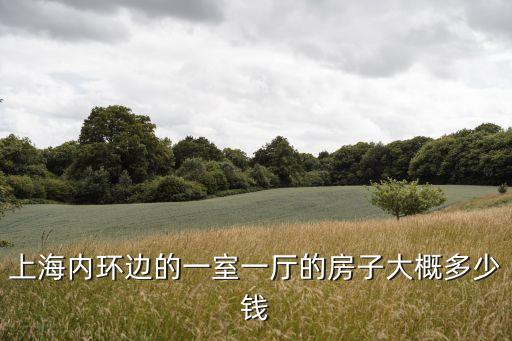 上海市內(nèi)環(huán)房價多少錢，上海市內(nèi)環(huán)的房均價是多少