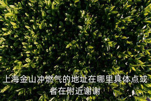 上海金山沖燃氣的地址在哪里具體點或者在附近謝謝