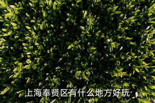 上海奉賢區有什么地方好玩