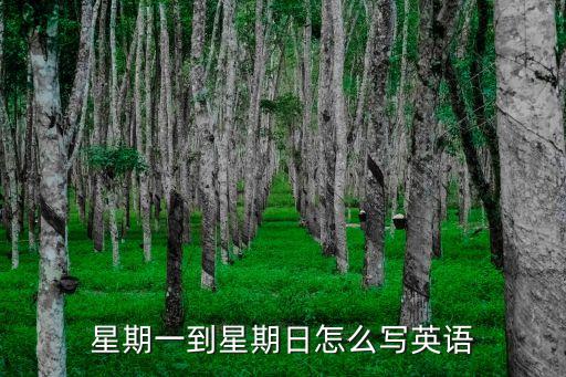 星期天的英語，星期一到星期天的英語單詞是什么
