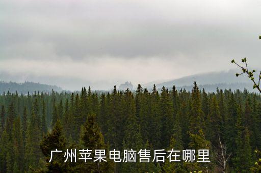 廣州蘋果電腦售后在哪里