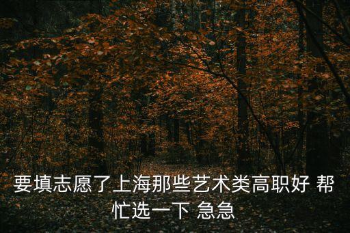 上海市現代音樂藝術職業，要填志愿了上海那些藝術類高職好 幫忙選一下 急急