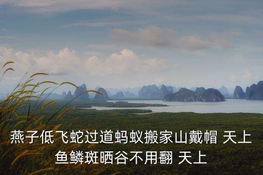 天上魚鱗斑，天上魚鱗斑的下一句是什么