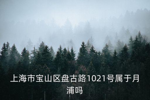 上海市博濟智匯園在什么區，請問寶山智匯園所屬街道和所屬鄉鎮是哪個
