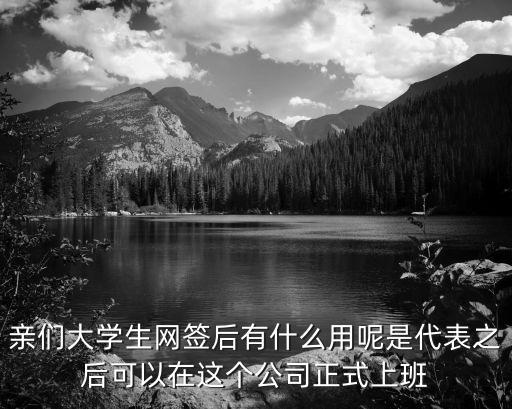 大學(xué)生網(wǎng)簽，親們大學(xué)生網(wǎng)簽后有什么用呢是代表之后可以在這個(gè)公司正式上班