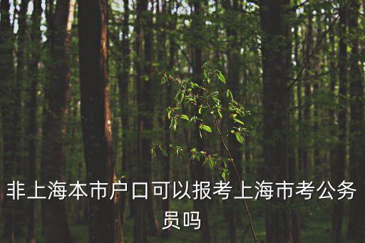非上海本市戶口可以報考上海市考公務員嗎