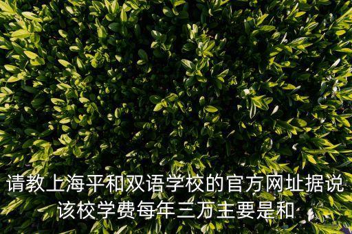請教上海平和雙語學校的官方網址據說該校學費每年三萬主要是和