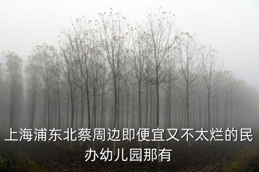 上海市區(qū)浦東新區(qū)新恒宇幼兒園，上海浦東北蔡周邊即便宜又不太爛的民辦幼兒園那有