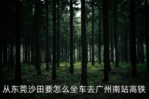 從沙田鎮到廣州南站高鐵站怎樣走，從東莞沙田要怎么坐車去廣州南站高鐵