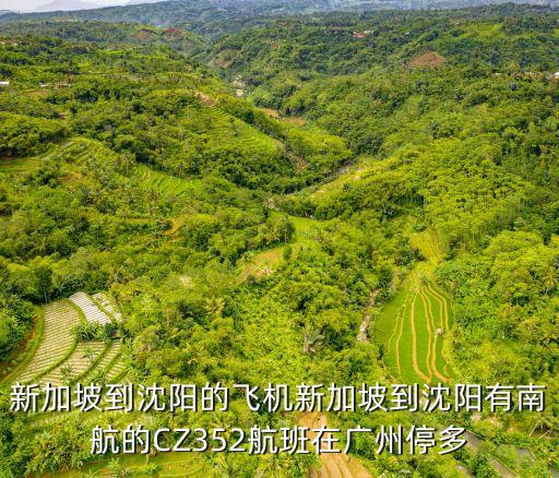新加坡大廚回廣州，新加坡廚師簽證如果雇主不給簽證需要立即回國嗎