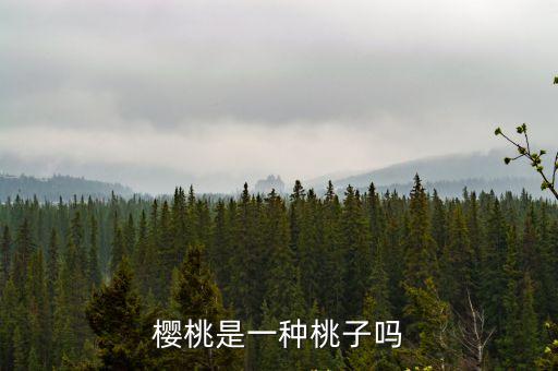 櫻空桃子，艷炟死了櫻空難過嗎