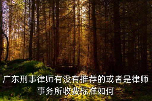 廣州比較好的刑事律師費用咨詢，廣州律師處理一個刑事案件一般要多少錢6000貴嗎