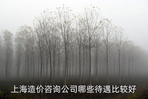 上海市造價咨詢事務所，上海造價咨詢公司哪些待遇比較好