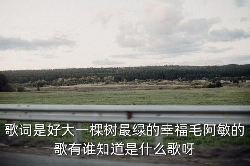 歌詞是好大一棵樹最綠的幸福毛阿敏的歌有誰知道是什么歌呀