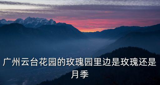 廣州云臺(tái)花園的玫瑰園里邊是玫瑰還是月季