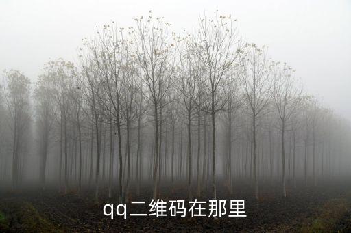 qq二維碼在那里