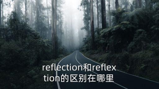 反映的意思，反映 的同義詞