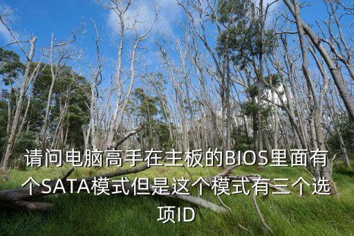 請問電腦高手在主板的BIOS里面有個SATA模式但是這個模式有三個選項ID