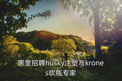 上海市吹塑吹瓶行業招聘信息，去請問一下六甲給有吹瓶廠招工的