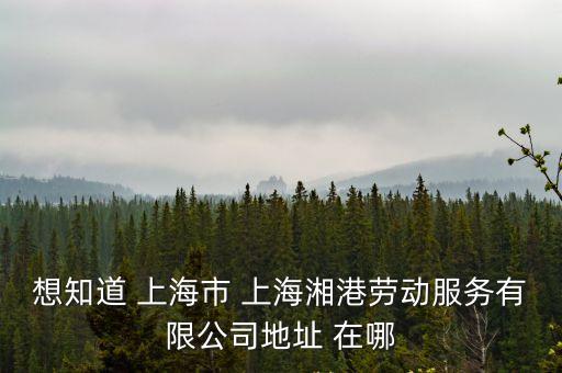 上海市茅臺(tái)路282號(hào)，想知道 上海市 上海湘港勞動(dòng)服務(wù)有限公司地址 在哪