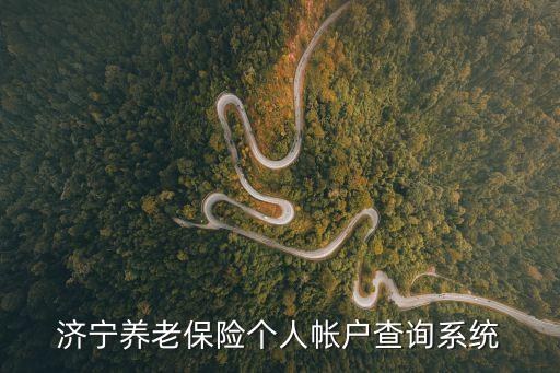 濟寧養老保險個人帳戶查詢系統