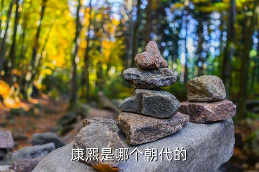 清朝康熙，中國清朝康熙皇帝歷史