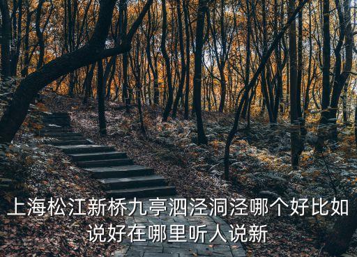 上海市松江區(qū)洞涇鎮(zhèn)的建設(shè)，上海松江新橋九亭泗涇洞涇哪個(gè)好比如說好在哪里聽人說新
