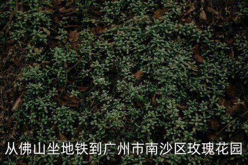 從佛山坐地鐵到廣州市南沙區(qū)玫瑰花園